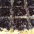 Cooksnap dari Dieach Ermaa untuk resep Bolu Jadul
