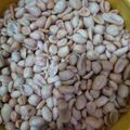 Cooksnap dari laila badria untuk resep Kacang Bawang Gurih dan Renyah Ala Siva Alesha_Kitchen