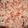 Nilima Pandya's cooksnap of when they made Vegetable pink pulav.