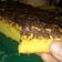 Cooksnap dari Rizky Indah Abaz Wahono untuk resep Bolu tape keju
