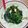 Cooksnap dari Soegianto untuk resep Tumis Kangkung Praktis