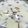 Ankita Kapil Varshney's cooksnap of when they made Rice Phirni.