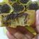 Cooksnap dari restystika untuk resep Terang Bulan / Martabak Manis Teflon Eggless