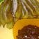 Cooksnap dari Laila Rahmalillah untuk resep Pandan Churros