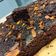 Cooksnap dari tris untuk resep Espresso Cakey Brownie (a la Starbucks)
