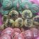 Cooksnap dari adyskazee untuk resep Kue cubit lumer enak