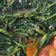 Cooksnap dari Ms.C untuk resep Tumis kangkung air terasi