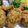 Cooksnap dari Ulfi Hadyan untuk resep Ayam kentucky/Kfc