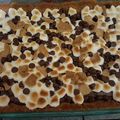 barnowl's cooksnap of when they made S'mores Brownies.