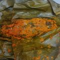 Cooksnap dari Titik Suratikah untuk resep Pepes Ikan Nila