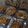 Cooksnap dari wilezid_kitchen untuk resep Bolu kelapa tabur chessee
