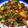 Arya Paradkar's cooksnap of when they made વેજ બિરયાની (Veg. Biryani Recipe In Gujarati).