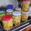 Mária Harsányi Cooksnap-ja, amikor elkészítette a(z) Téli kompót kombináció receptet.