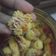 Cooksnap dari DapurMamaDipta🌼 untuk resep Eggless Kaastengel Ricke Indriani #day5