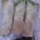 Cooksnap dari Mrs Hilmi untuk resep Kulit tortilla