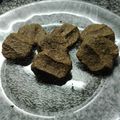El cooksnap de silvia dujan cuando hizo Galletas sanas de cacahuate (maní) sin azúcar, ni harina, ni manteca (SIN GLUTEN / DESLACTOSADO).