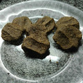 El cooksnap de silvia dujan cuando hizo Galletas sanas de cacahuate (maní) sin azúcar, ni harina, ni manteca (SIN GLUTEN / DESLACTOSADO).