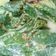 Cooksnap dari chusnul caiyang untuk resep Gulai daun singkong ala nasi padang