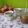 Cooksnap dari sulis oktafiani untuk resep Bajigur