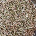 Arnav Kumar का कुकस्नैप जब उन्होंने अंकुरित मूंग चाट(ankurit moong chaat recipe in hindi) बनाया था।