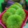 Cooksnap dari Windy Prima Respati untuk resep Kue Cucur / Kucur