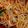 Farzana Memon 's cooksnap of when they made Restaurant Style Chicken Chowmein.