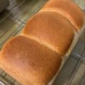 莎韻 的 一次發酵鬆軟牛奶吐司 cooksnap