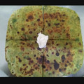 Nikita Singhal's cooksnap of when they made Palak ka Parantha.
