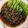 Julia ALeen Aireish's cooksnap of when they made Bok Choy with Oyster Sauce.