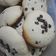 El cooksnap de Melisa Ceb cuando hizo Cookies con chip de chocolate.