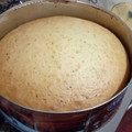 El cooksnap de Maria Giselle Sacchetti cuando hizo Bizcochuelo 1234.