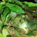 Cooksnap dari Dapur Bunda Adam untuk resep Sambel Cibiuk