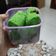 Cooksnap dari Iis Permata untuk resep Kue Putu