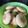 El cooksnap de Viviana Ines Diaz Krikorian cuando hizo Galletitas de Limón y Vainilla.