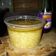 Cooksnap dari chandatawa untuk resep Baceman Bawang Putih