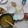 Cooksnap dari monica shavira untuk resep Soto Ayam