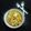 Shweta Dalal's cooksnap of when they made થાઈ ગ્રીન નુડલ્સ (Thai Green Noodles Recipe in Gujarati).