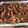 El cooksnap de Guillermina Garcia Conde cuando hizo Costillas bbq estilo foster.
