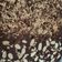 Cooksnap dari lusiadevi untuk resep Brownis coklat moist#KisahKasihCookpad