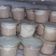 Cooksnap dari Aisyahnurfadillah untuk resep Ice cream homemade lembut untuk dijual