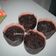 Cooksnap dari Zahrotul An untuk resep Eggless Moist Choco Cupcakes