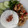 Cooksnap dari ayunabillarumaropen untuk resep Ayam Pedas Saus Tiram