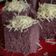 Cooksnap dari Adelia Firdaus untuk resep Brownies ubi ungu kukus