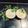 Sakshi Hotwani's cooksnap of when they made Coriander mint chutney.