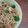 Cooksnap dari jeopard untuk resep Spaghetti Aglio Olio Udang