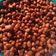 Cooksnap dari Rinda Thalib untuk resep Kacang disco