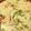 Santiago's cooksnap of when they made Angel Hair Spaghetti With Vegetables & Ham.