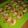 Cooksnap dari Aymah_JJ untuk resep Pie Buah