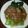 Cooksnap dari Ummay Kitchen untuk resep Pokcoy Siram Saus Jamur
