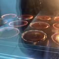 El cooksnap de Angela Aguilar cuando hizo Cupcakes de vainilla (Con maicena).